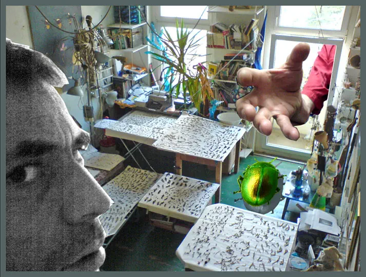 Artischock/Pluto Artischock-3