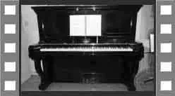Steinway19